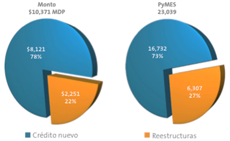 Imagen. Grficas comparativas